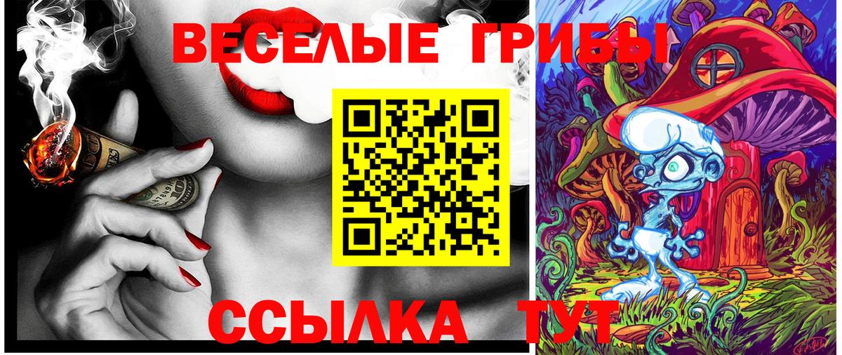 Псилоцибиновые грибы прущие грибы Советск